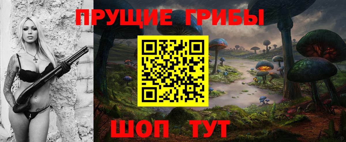 Галлюциногенные грибы Psilocybine cubensis Баксан