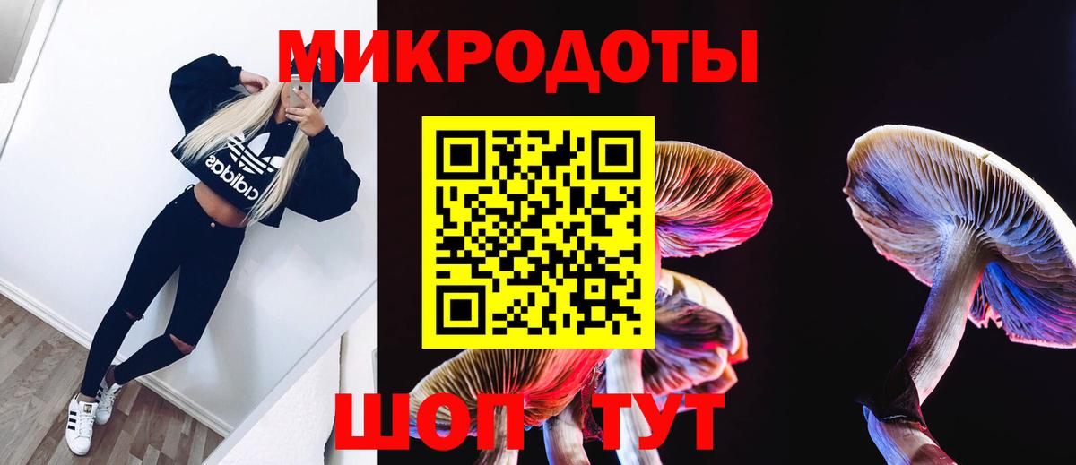 Галлюциногенные грибы MAGIC MUSHROOMS  Вход с VPN  Баксан  Галлюциногенные грибы Psilocybine cubensis 